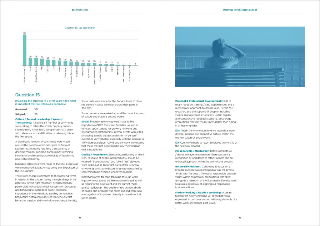 Corporate brochure - BCS Consulting - graphs page